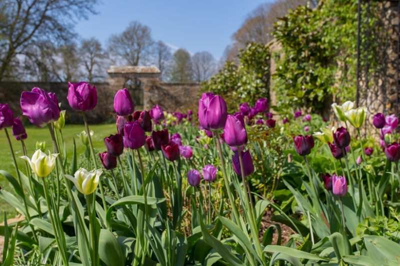 Charlton Down House